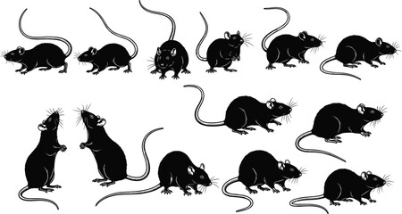 Rat silhouette collection, black rodent shapes, pest animal clipart, isolated vector rats, wildlife pose set, tail detail, whiskers