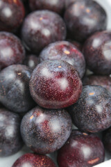 Fresh Red Purple Plums with Natural Bloom Stone Fruit Harvest Collection
