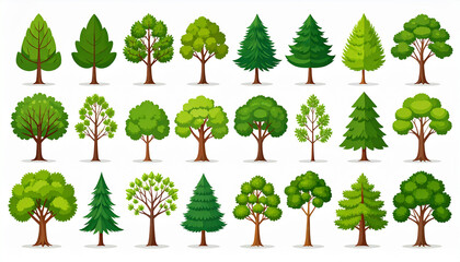 Fototapeta premium Diverse green trees with brown trunks and branches nature foliage