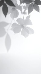 Pale blossoms and leaves cast soft grayscale shadows on a bright backdrop