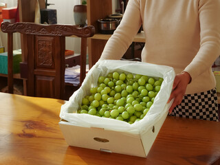 Fresh Green Seedless Grapes in Box - Woman Preparing Healthy Fruit in Kitchen