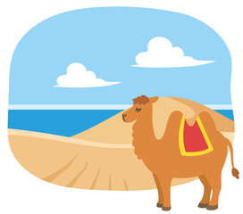 砂丘　鳥取砂丘　ラクダ　フタコブラクダ