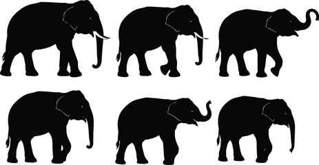 Silhouette elephants, wildlife illustration, animal motion, elephant poses, safari art, black silhouettes, nature design, elephant movement, graphic animal, creative artwork
