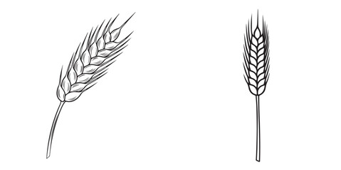 Simple Outline Drawings of Wheat Ears