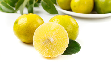 Fresh Guangxi Emperor Citrus Fruits on White Background - Yellow Citrus with Green Leaves