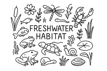 Obraz premium Freshwater Habitat Doodle. Freshwater Habitat. Hand-drawn doodle illustration of Freshwater Habitat. Fish,