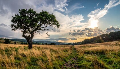 Obraz premium Majestic solitary tree stands prominently in a grassy meadow beneath a dynamic sky filled with clouds and the golden sunlight, creating a serene and picturesque landscape, capturing a tranquil...