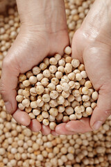 Hands Holding Dried Chickpeas - Raw Legumes for Healthy Cooking and Nutrition