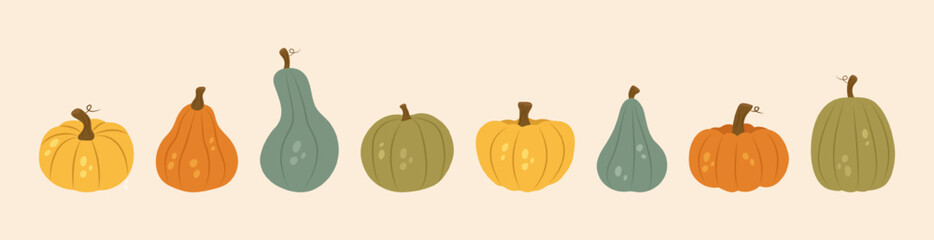 Set of various pumpkins. Hand drawn vector illustration.
