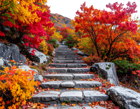 A serene pathway of stone steps surrounded by vibrant autumn foliage on rocky terrain