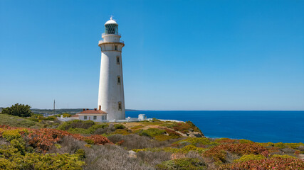 Tall White Lighthouse Standing Near Coastal Landscape Ocean View and Scenic Beauty