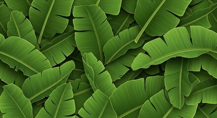 Lush foliage backdrop showcases overlapping vibrant green banana leaves