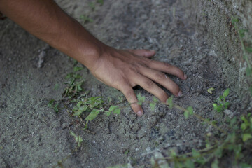 A persons hand touches the dry, cracked earth with small green plants