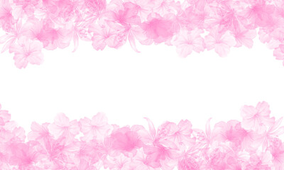 pink flowers border