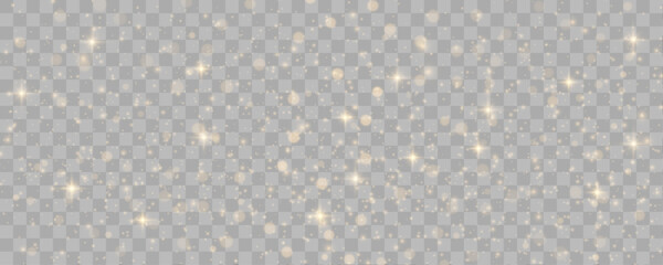 Transparent background filled with glittering dust creates a dreamy ambiance. Subtle light particles drift across. Ideal for magical designs or overlays.