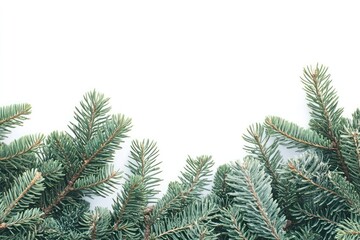 A christmas tree branch bottom border background branches winter.