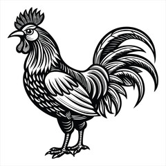 Rooster Vector Illustration. Rooster Line Art. Vintage Rooster Sketch. Traditional Rooster Artwork. Handmade Rooster Drawing. Rooster Clipart Black and White.. Detailed Rooster Illustration. Rooster.