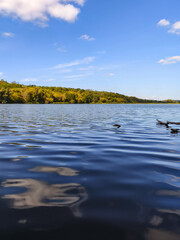large lake and autumn forest on the shore