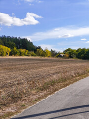 country road in autumn