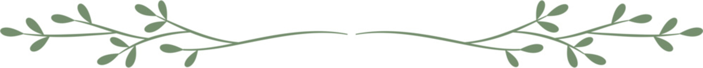 hand drawn botanical border