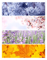 Set of horizontal nature banners. Four season of year. Each one features scene of nature, from the gentle snowfall of winter to the vibrant leaves of summer. Perfect for showcasing changing seasons