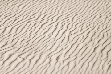 Wavy sand texture with ripples formed by wind, natural abstract background in desert. Minimalist sandy landscape with detailed dune surface pattern under sunlight.