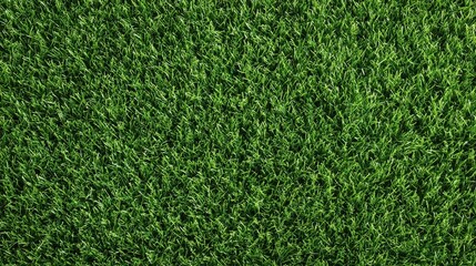 Obraz premium Vibrant Green Artificial Grass Texture for Sports Field Background