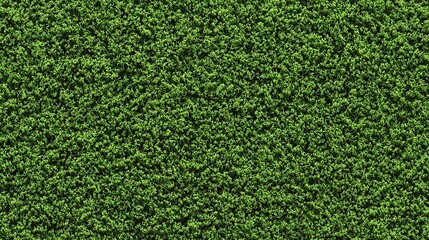 Obraz premium Bright Green Artificial Turf Putting Green Seamless Texture Background