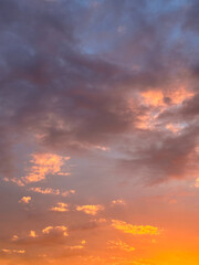 Obraz premium beautiful natural landscape with a forest where the sunset light shines through the tree trunks onto the green moss in the forest.