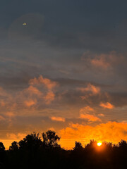 beautiful summer evening sunset with a golden orange sky where the sun shines through the black branches of silhouetted trees.