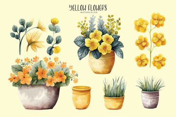 yellow flowers in pot set collection , watercolor in isolated background
