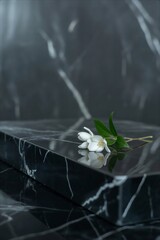 White flower on black marble surface with elegant veining.