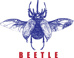 Flying Beetle Illustration with Wings Spread. Blue Insect Engraving Style. Red Text Graphic, High Contrast Vintage T-Shirt Design. Entomology Art, Isolated.