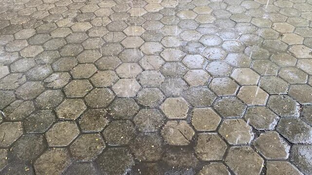 Wet Hexagonal Stone Pavers on a Rainy Path, Textured and Weathered Pavement Surface