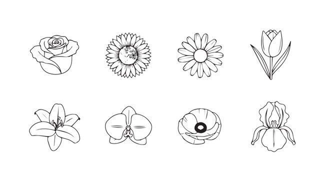 Collection of eight distinct floral outlines in a minimalist silhouette style