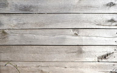Old aspen boards, wooden wall