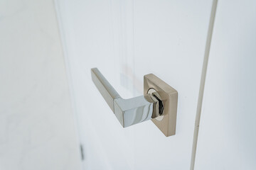 This image features a closeup view of a door handle positioned prominently on a freshly painted white door, showcasing the details of the handles design and functionality