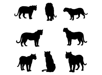 A diverse collection of black tiger silhouettes in various dynamic poses isolated vector graphic set