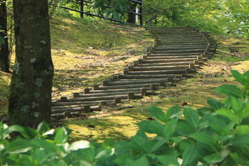緑に包まれた階段