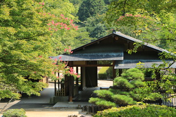 古民家の前に咲く赤いサルスベリの花