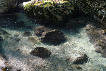 Crystal clear freshwater stream with visible rocks and pebbles beneath surface, sunlight reflections creating natural patterns in pure transparent river water flowing through rocky landscape