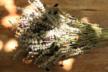 Colorful Dry Flowers, Interior Design, Still Life, Daisies, Lavender, Beautiful Flowers