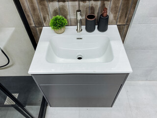 In this bathroom, the gleaming, contemporary sink pairs beautifully with a cheerful green plant, establishing a calm and welcoming ambiance that feels utterly refreshing and rejuvenating