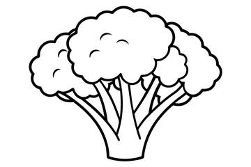 vector illustration of a broccoli