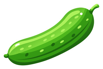vector illustration of a green cucumber