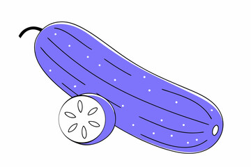 vector illustration of a cucumber