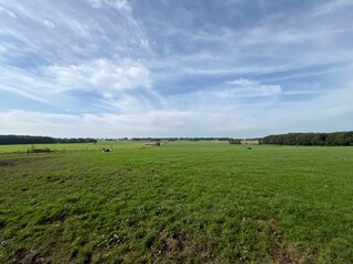 Farmland around Mirns Gaasterland