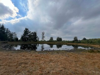 Lake in the forest around Appelscha