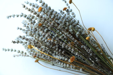Colorful Dry Flowers, Interior Design, Still Life, Daisies, Lavender, Beautiful Flowers