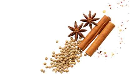 Artfully scattered coriander, star anise, cinnamon, and chili flakes forming a diagonal on a transparent background, for exotic culinary concept